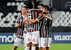 Fluminense vence e afunda o Goiás na zona de rebaixamento e volta ao G6 do Brasileirão