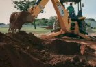 Prefeitura de Jaraguá faz vídeo polêmico de conscientização contra a Covid-19 abrindo covas em cemitério