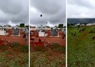 Bando de urubus invade cemitério e assusta moradores de Jaraguá, Goiás