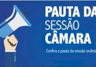 3ª Sessão Ordinária do mês de março de 2021  - Câmara Municipal De Ceres