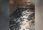 Em Goiás: Adolescente coloca fogo em casa após mãe não deixá-lo jogar em celular, diz polícia