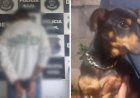Em Goiás: Homem flagrado em vídeo praticando zoofilia com cadelas é preso
