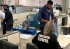 Em Goiás: PC apura propina no Detran para liberação de veículos irregulares