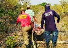 Em Goiás: Mulher se perde em mata após sair para colher pequi