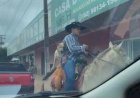 Em Goiás: Cachorro passeia montado a cavalo junto com o dono