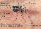 Prefeitura de Ceres alerta a população para prevenção e controle da dengue