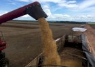 Como crise na Rússia e Belarus encareceu os fertilizantes para o Brasil