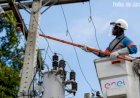 Enel é classificada como a 3ª pior concessionária de energia elétrica do Brasil