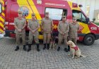Bombeiros de Goiás são enviados a Pernambuco para auxiliar nas buscas por desaparecidos