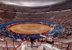 Em defesa dos animais, Justiça mexicana proíbe touradas na maior arena do mundo