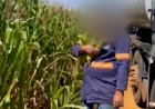Gerente de fazenda é denunciado por discriminar caminhoneiro filmado ao receber 'lição de moral' enquanto tentava furtar milho