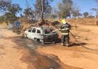 Em Goiás: Carro pega fogo e chamas causam incêndio às margens da GO-213