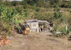 Grupo é multado em mais de R$ 200 mil por desmatar área de preservação ambiental para plantar mandioca, diz prefeitura