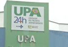 Idoso morre após ser atacado por abelhas em Rialma, Goiás