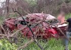 Em Goiás: Mulher morre após perder controle da direção e bater em árvores na BR-158