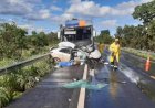 Cinco pessoas morrem e outras cinco ficam feridas em colisão entre ônibus e carro na BR-020, em Goiás