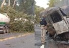 Motorista morre após carreta bitrem sair da pista na BR-153 bater em árvore e pegar fogo, em Santa Tereza de Goiás