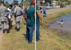 Em Goiás:  Motorista persegue suspeitos de roubo e os derruba de moto