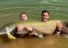 Em Goiás: Adolescente de 16 anos pesca pirarucu de 60 kg em lago