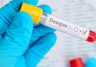Secretaria Estadual de Saúde confirma que Goiás já tem mais de 15 mil casos de Dengue
