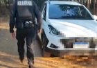 Polícia frustra transporte de R$ 2 milhões em drogas na BR-153, entre Goiânia e Anápolis