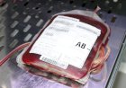 Hemocentro de Goiás tem queda nas doações de sangue e pede ajuda da população