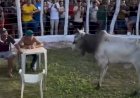 Teria coragem? Desafio com boi bravo na arena viraliza na internet