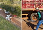 Fazenda com mais de 100 aves mortas por gripe aviária é embargada no interior de Goiás