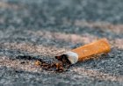Brasil é um dos 4 países do mundo que mais avançaram no controle do tabaco, diz OMS