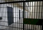 Policial é acusado de forçar cinco presos a fazer sexo com ele na cadeia