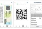 Saiba usar a versão digital da Carteira de Identidade Nacional