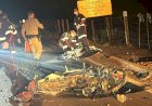 Alvo de Tragédias Recorrentes, GO-154 entre Ceres e Uruana Clama por Duplicação e Radares de Velocidade