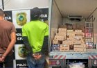Estoquista e motorista são presos por furtar mercadorias em empresa de Aparecida de Goiânia