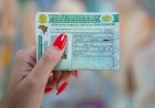 Detran-GO divulga lista de CNHs suspensas; veja como consultar e o que fazer