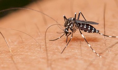 Goiás registra queda de 89% nos casos de dengue em relação a 2020