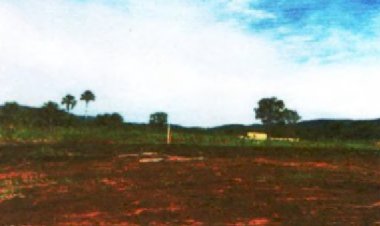 MP aciona empresários por instalação de loteamento em área de preservação permanente em Goianésia