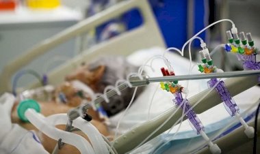 25% dos pacientes intubados com Covid-19 morrem por sequelas após alta