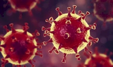 Com 95% dos leitos de UTI ocupados, Goiás tem recorde de mortes por Covid-19. 267 goianos perdem a vida em 24h