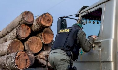Servidores do Ibama denunciam que fiscalização ambiental está paralisada após decisão de Salles