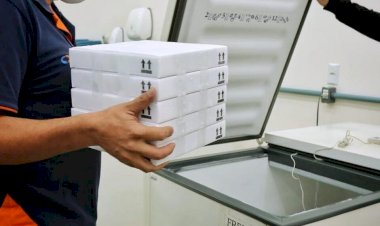 Goiás recebe primeiro lote da vacina da Pfizer com 17.550 doses