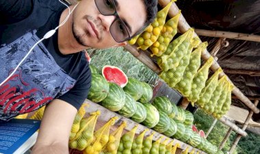Vendedor de frutas é aprovado em medicina na UFG após conciliar mais de 12 horas de estudos por dia: 'Valeu a pena'