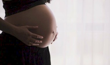 Justiça autoriza casal homoafetivo a usar FGTS para realizar fertilização in vitro