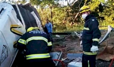 Em Goiás: Caminhoneiro que levava gado morre após bater em árvore na GO-241