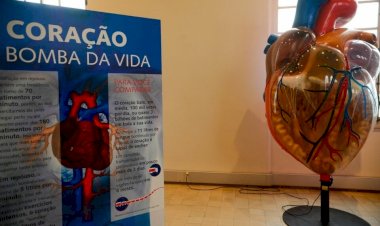 Doença cardiovascular é principal causa de morte de mulheres no mundo