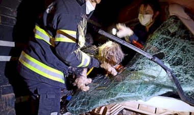 Em Goiás: Bombeiros resgatem três pessoas e um cão de acidente entre dois caminhões