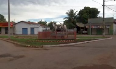 Em Goiás: Jovem morre após árvore que podava cair sobre ele