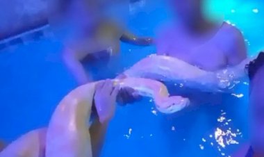 Em Goiás: Vídeo mostra cobra píton albina dentro de piscina durante festa