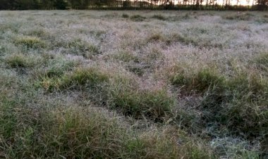 Temperaturas devem cair a partir de domingo e pode ter geada em cidades de Goiás, diz Cimehgo