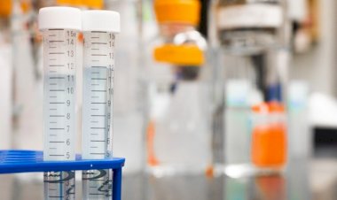 Em Goiás: Polícia apreende 20kg de cocaína em laboratório clandestino