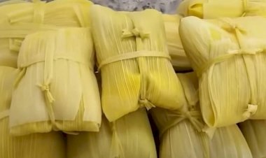 Preço da pamonha aumenta com alta do milho em Goiás